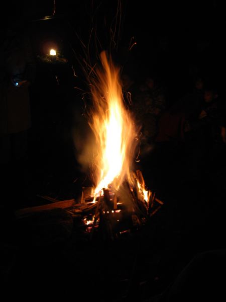 cub campfire